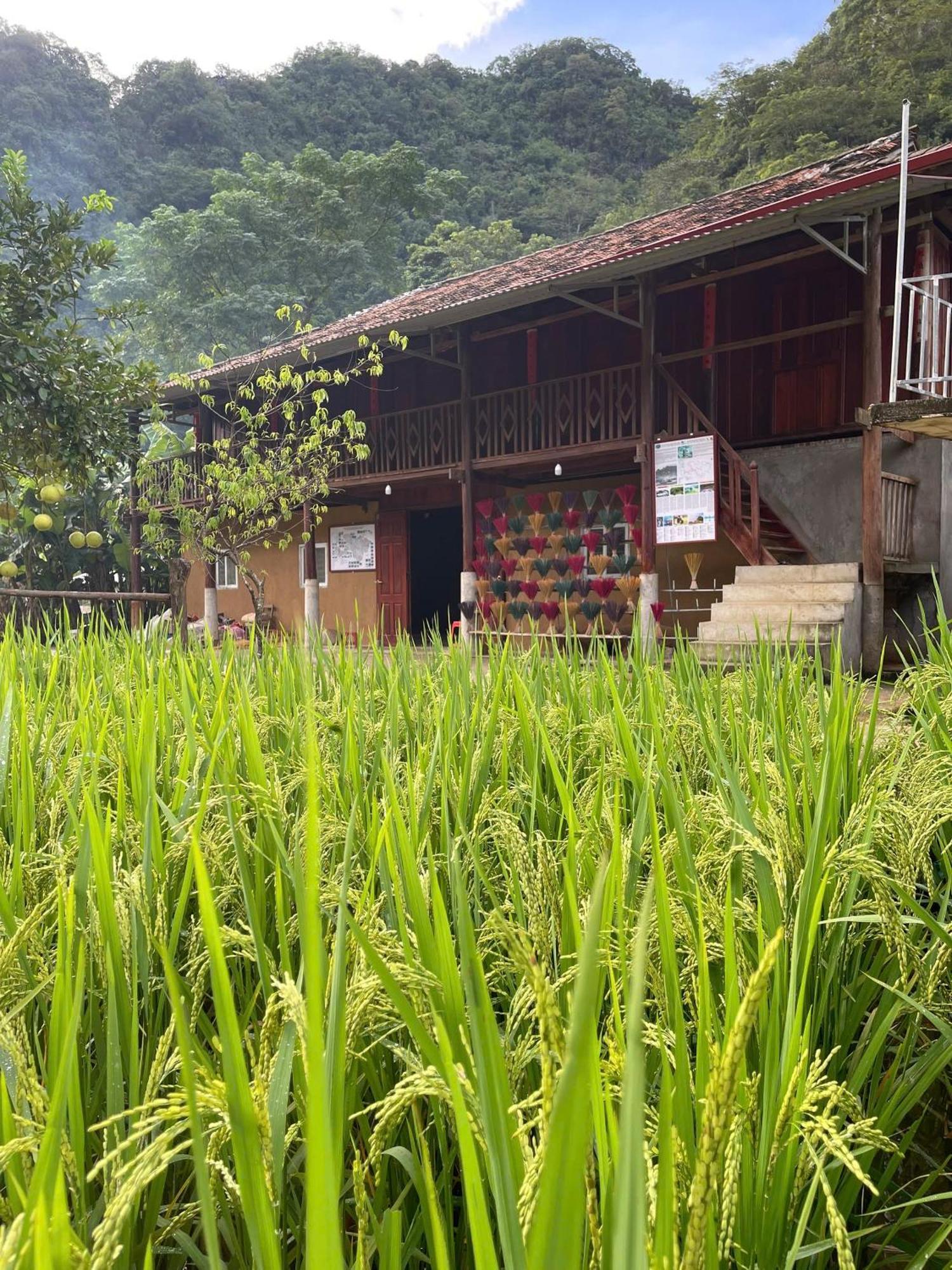 Nung An Homestay Quang Uyen Zewnętrze zdjęcie