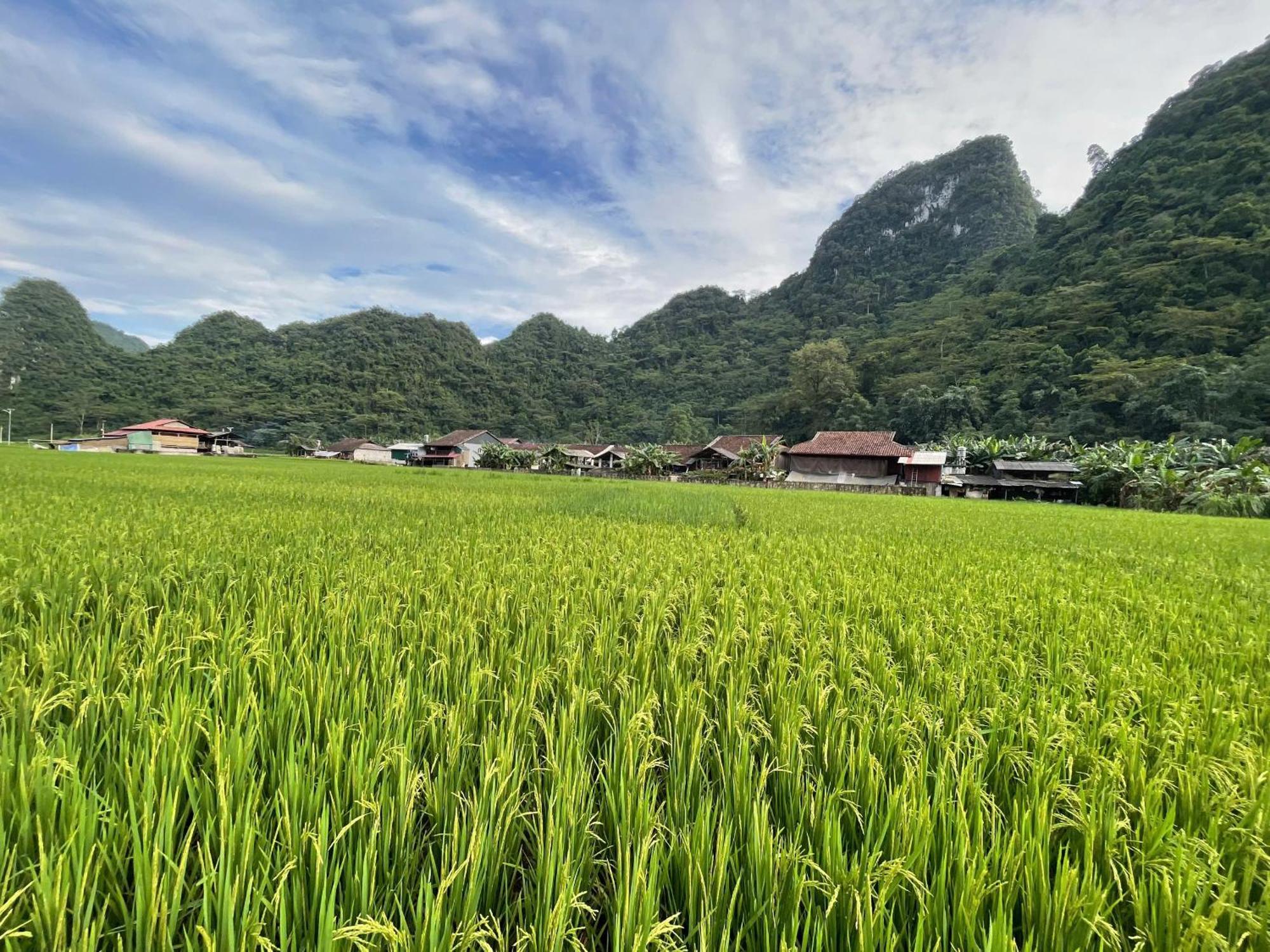 Nung An Homestay Quang Uyen Zewnętrze zdjęcie